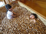 IMG_0840.jpg