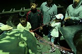 IMG_1003.jpg