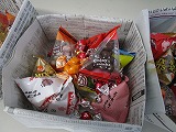 IMG_1160.jpg