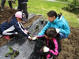 IMG_2498.jpg