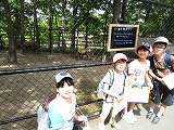 IMG_2584.jpg