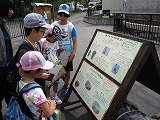 IMG_2594.jpg