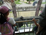 IMG_2609.jpg