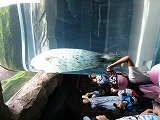 IMG_2647.jpg