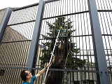 IMG_2703.jpg