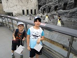 IMG_2736.jpg