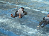 IMG_2859.jpg