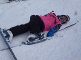 P1100555.jpg