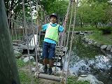 P1180917.jpg