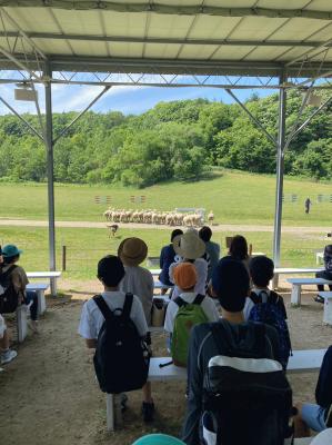 LINE_ALBUM_2023 修学旅行１日目_23070513.jpg