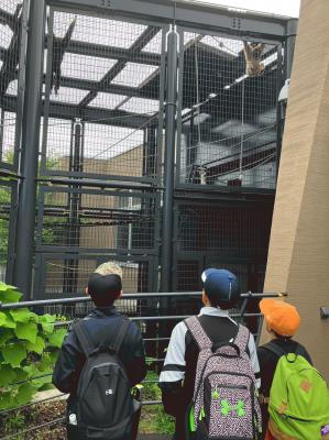 LINE_ALBUM_2023　修学旅行２日目_2307068.jpg