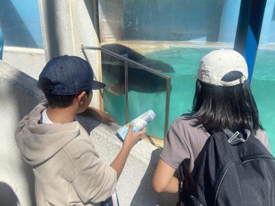 水族館3.JPG