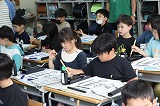 IMG_2996.jpg