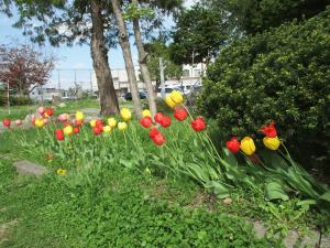 IMG_7042.JPG