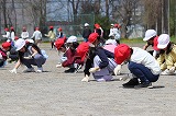 IMG_8908.jpg