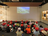 IMG_2035.jpg