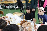 IMG_9306.jpg