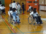 DSC08010.jpg