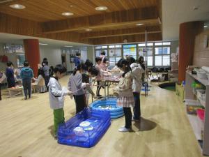 IMG_6638.jpg