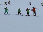IMG_7525.jpg
