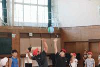 IMG_8288.JPG