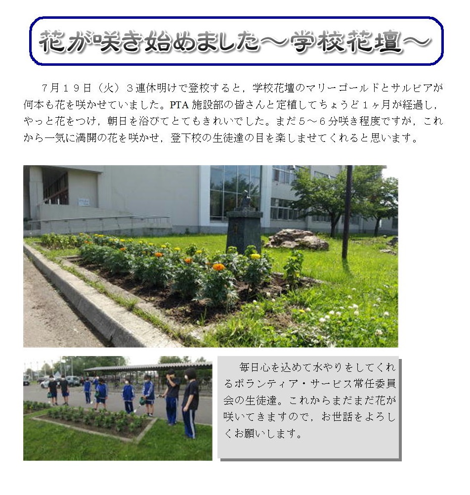 学校花壇（ﾄﾘﾐﾝｸﾞ）.jpg