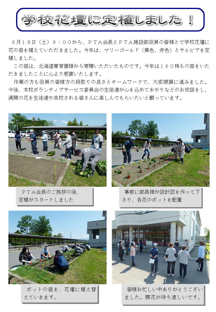 PTA花壇定植.jpg