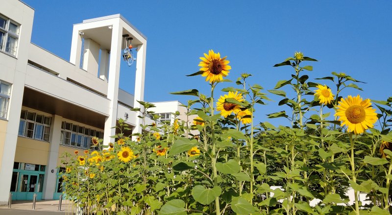 旭川市立北光小学校