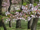 H28 修学040.JPG