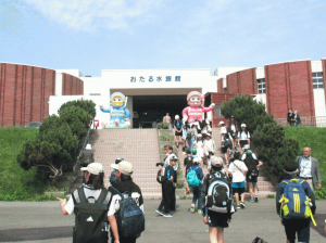 水族館１.png