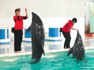 水族館2.png