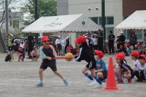 IMG_3923.JPG
