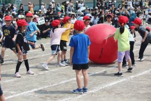 IMG_3956.JPG