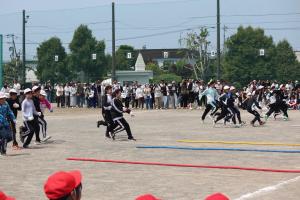 IMG_4223.JPG