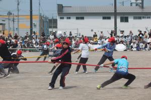 IMG_4227.JPG
