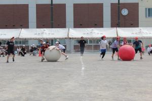 IMG_4302.JPG