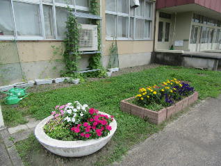 1IMG_0046.jpg