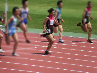 1IMG_0096.jpg