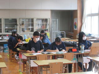 1IMG_0331.jpg