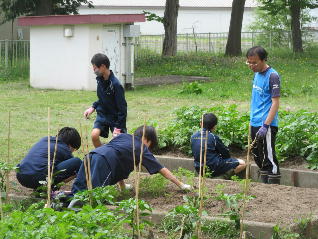 1IMG_0609.jpg