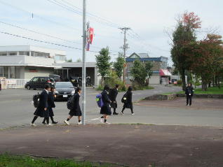 1IMG_0850.jpg