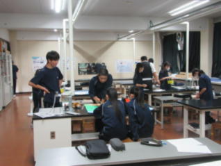 1IMG_3319.jpg