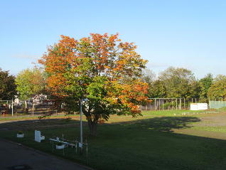 1IMG_3575.jpg