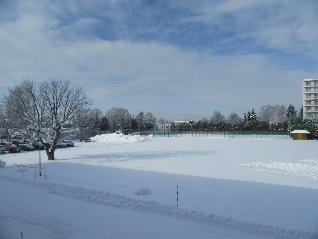 1IMG_4769.jpg