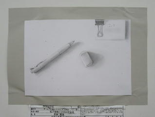 1IMG_5580.jpg