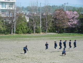 1IMG_6729.jpg