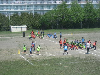 1IMG_7130.jpg