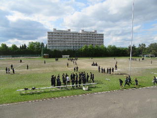 1IMG_7231.jpg