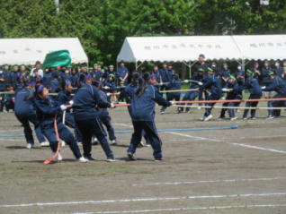 1IMG_7320.jpg