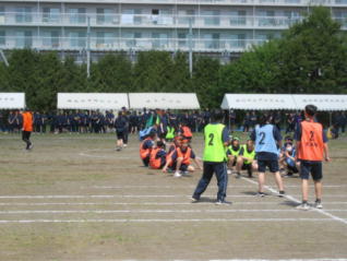 1IMG_7322.jpg